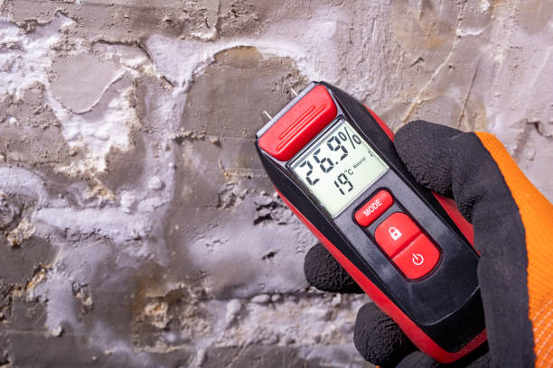 Home Mold Removal in Millers Creek, NC